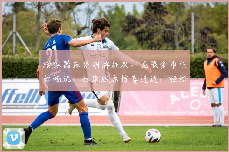 模拟器麻将胡牌狂欢，无限金币任你畅玩，独家版本惊喜连连，轻松逆袭逗趣人生