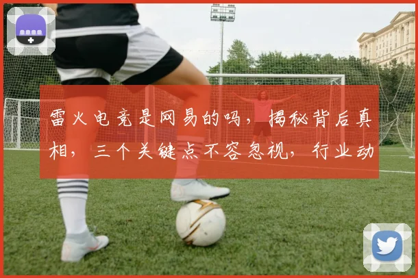 雷火电竞是网易的吗，揭秘背后真相，三个关键点不容忽视，行业动态值得关注
