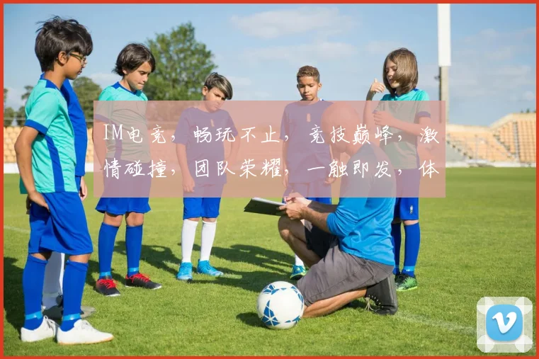 IM电竞，畅玩不止，竞技巅峰，激情碰撞，团队荣耀，一触即发，体验非凡