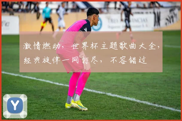 激情燃动，世界杯主题歌曲大全，经典旋律一网打尽，不容错过
