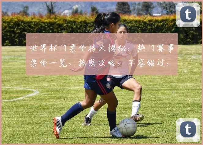 世界杯门票价格大揭秘，热门赛事票价一览，抢购攻略，不容错过，性价比之选
